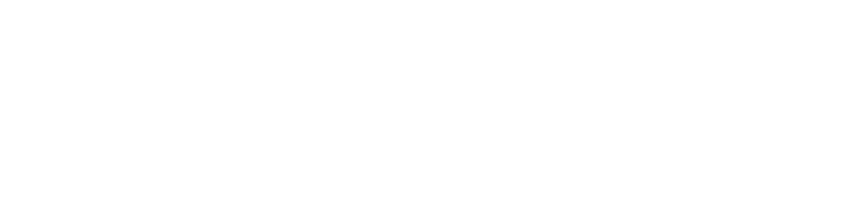 ticket